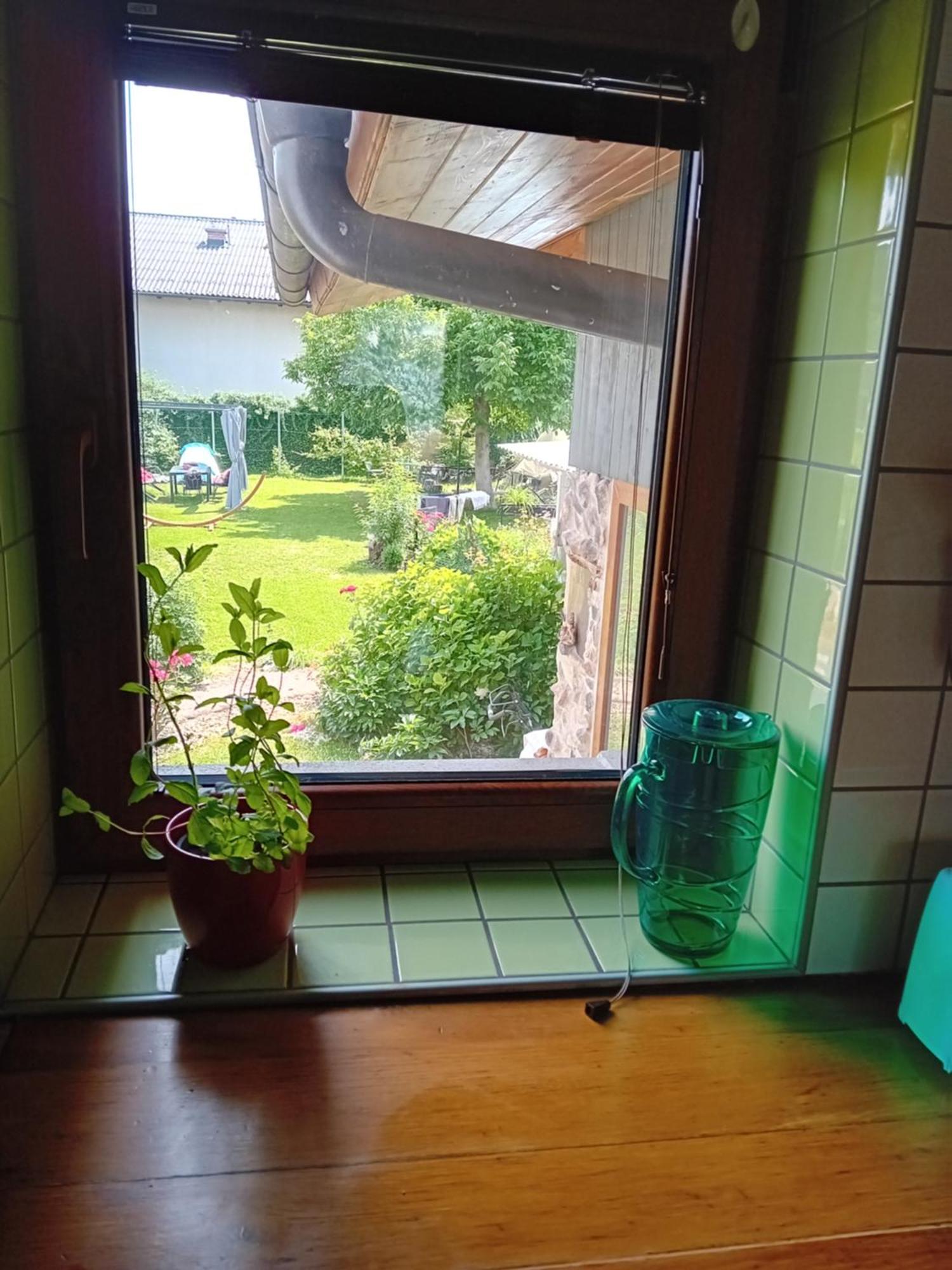 Apartment Baci For 4 Guests リュブリャナ エクステリア 写真